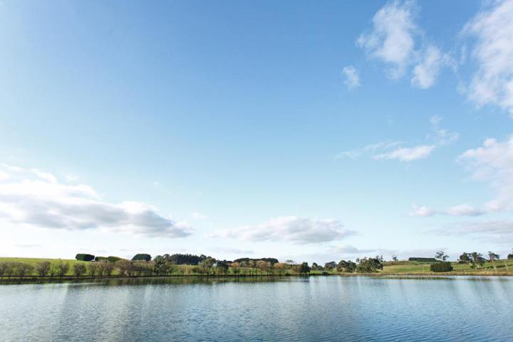 14670656_972380142888290_372199865227767515_n