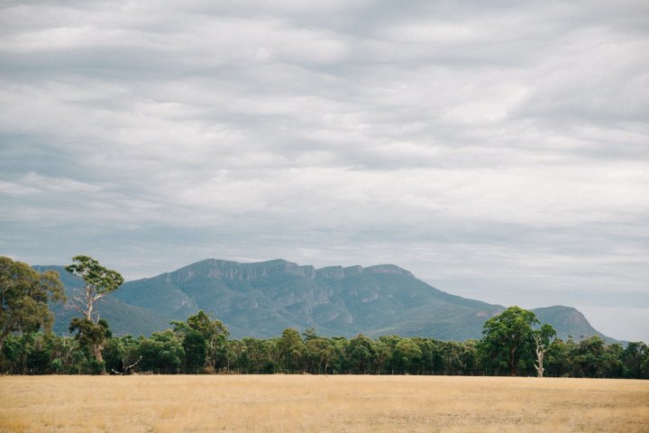 PitchMusicFestival-52