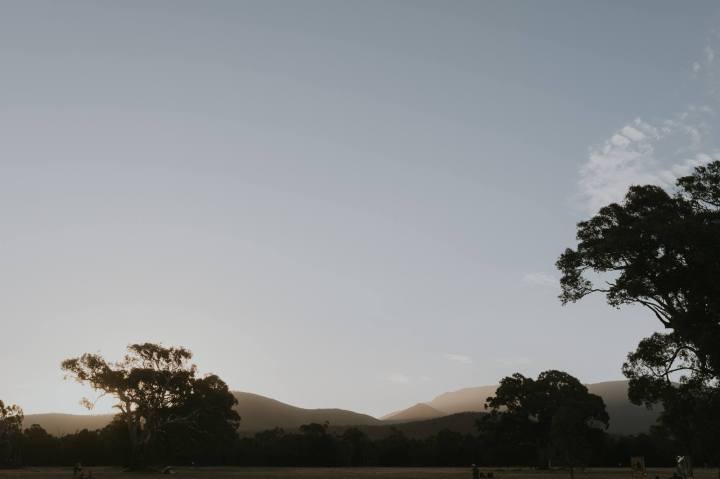 51665054_2322702594426956_5184274522706018304_o